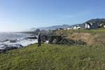 Shelter Cove 172