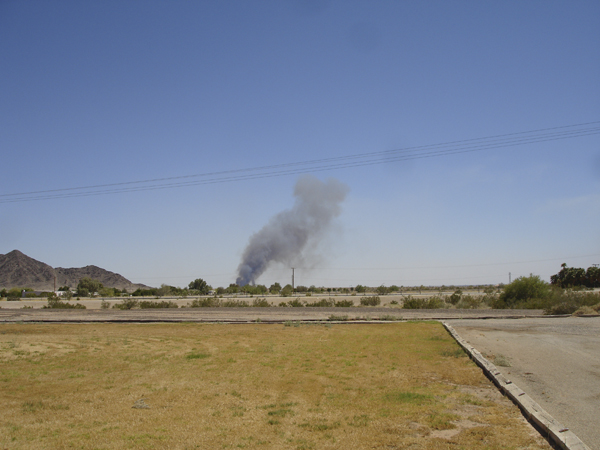 Yuma 11