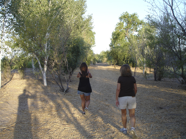 Yuma 54