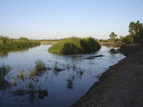 Yuma 55