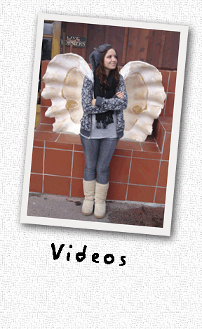 Videos