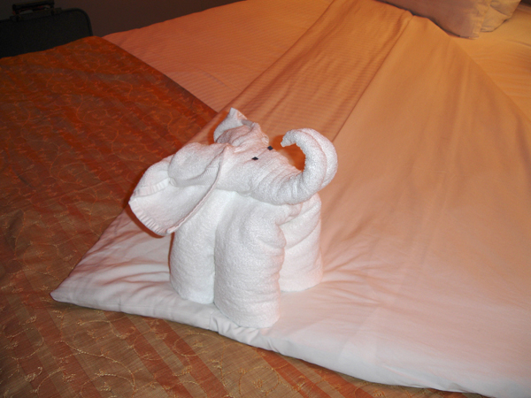 Cruise 38