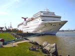 Cruise 31